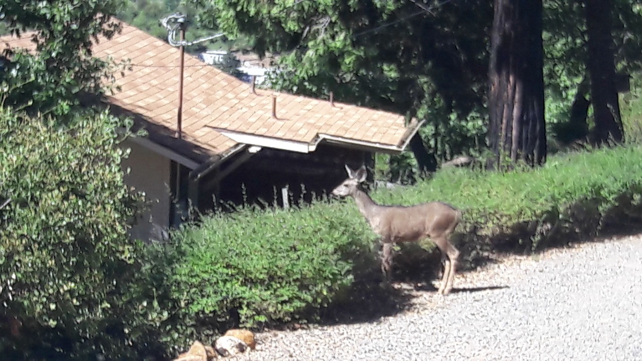 Photo of Others in Julian