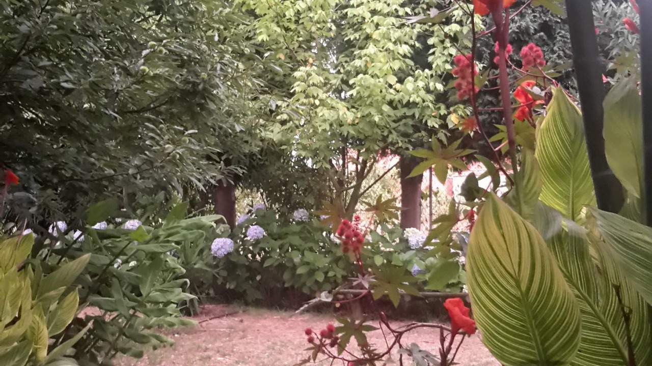 Photo of Outdoor in Cacia