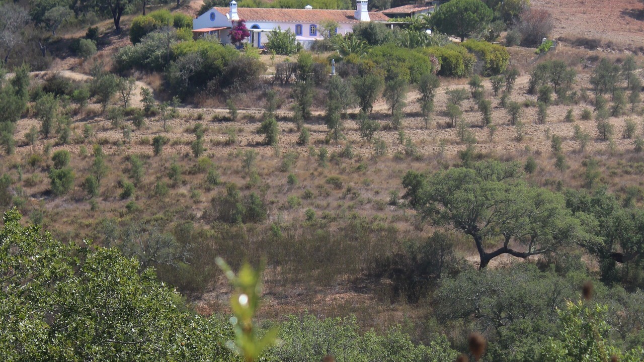 Photo of Outdoor in Odemira