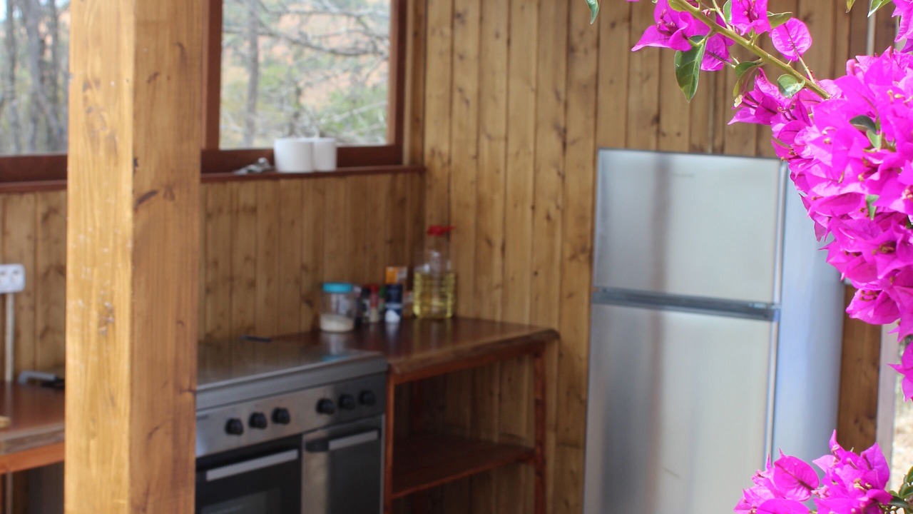 Photo of Kitchen in Odemira