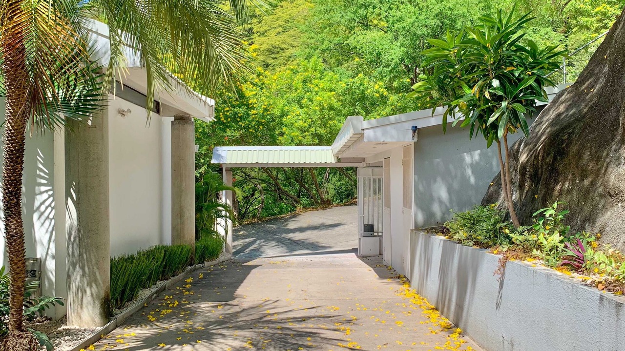 Photo of Outdoor in Coco