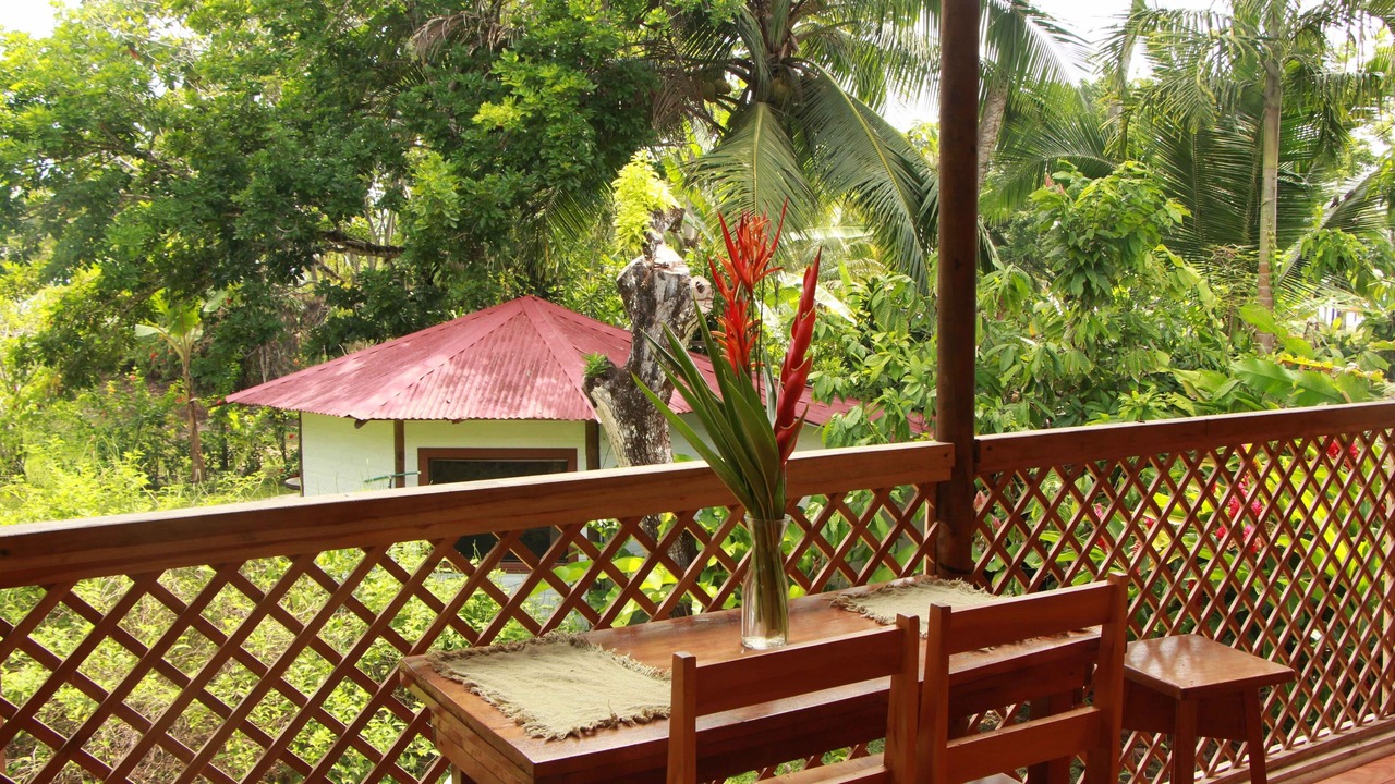 Photo of Outdoor in Punta Uva
