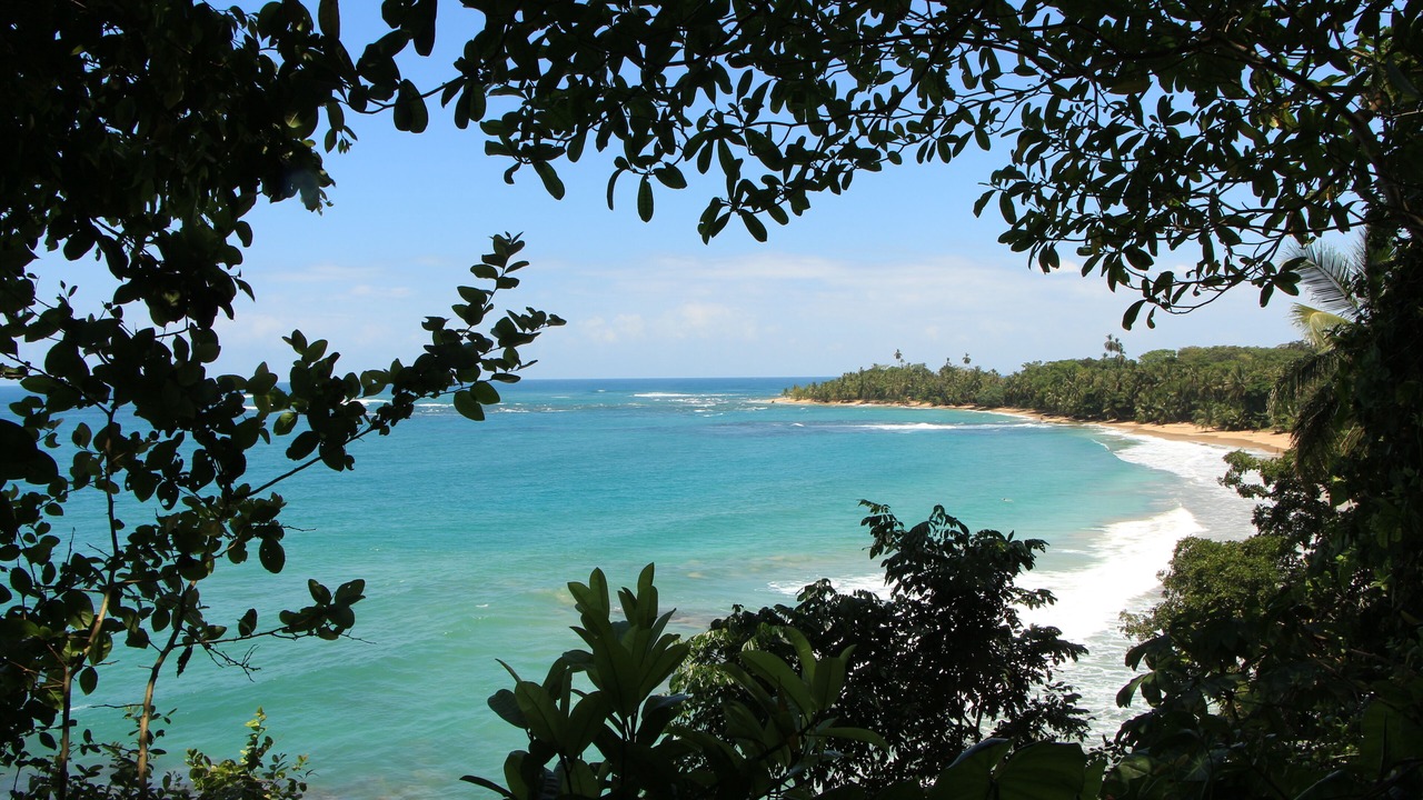 Photo of Others in Punta Uva