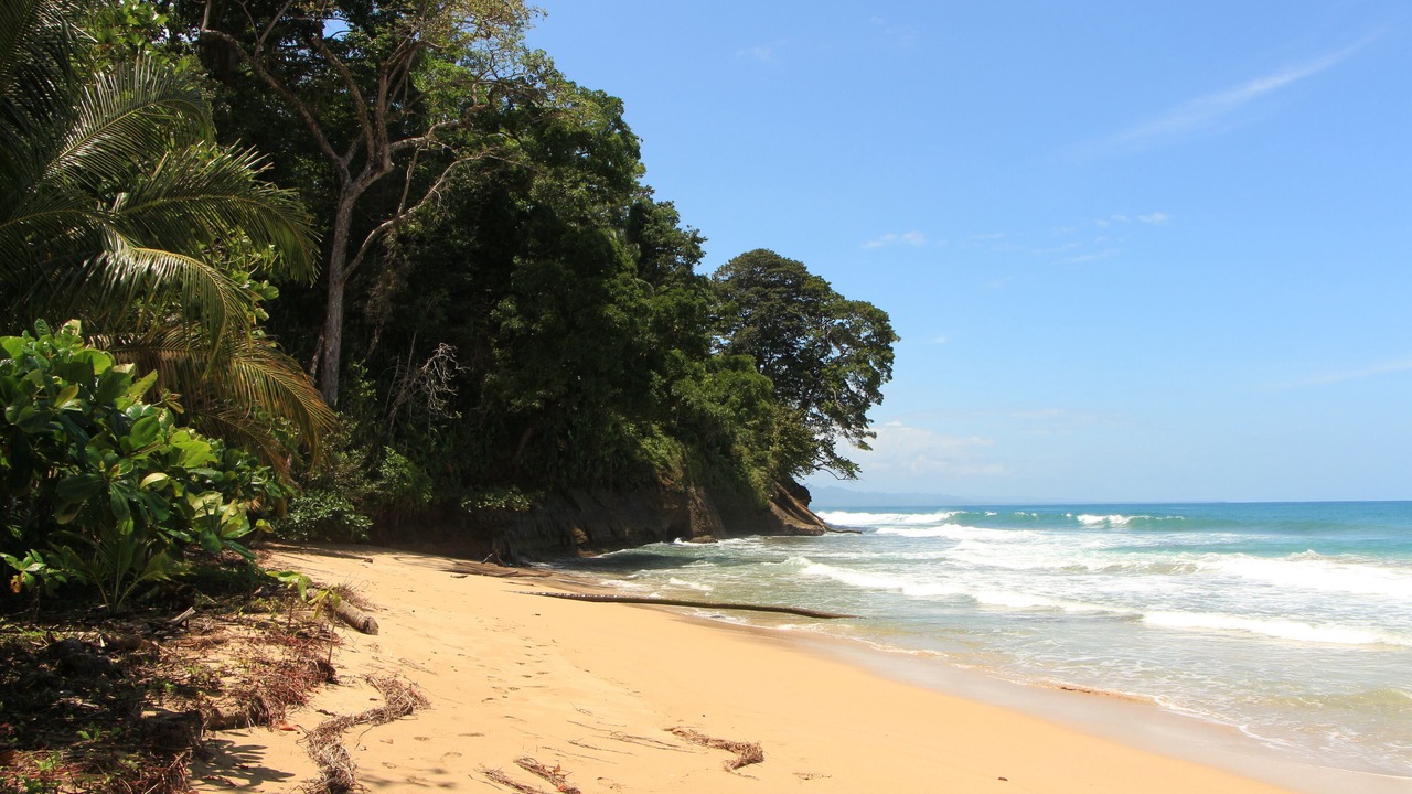 Photo of Others in Punta Uva