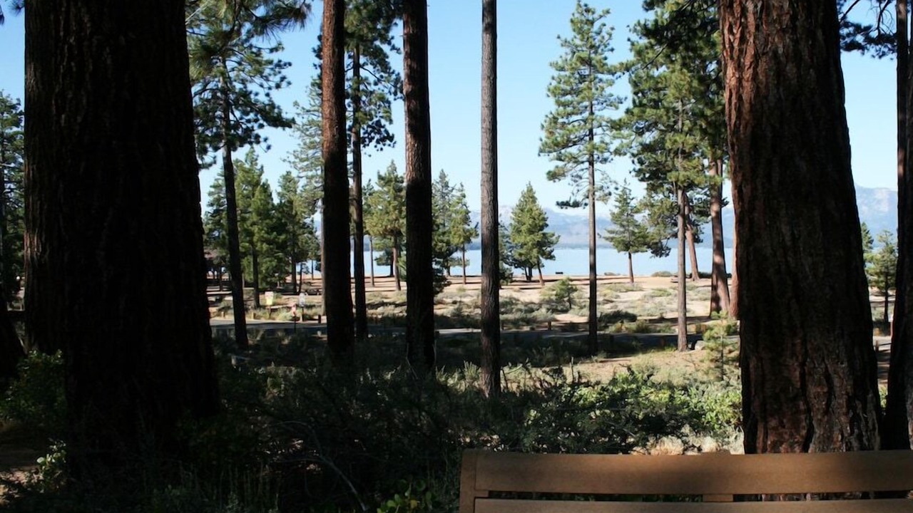 Photo of Others in Tahoe Village