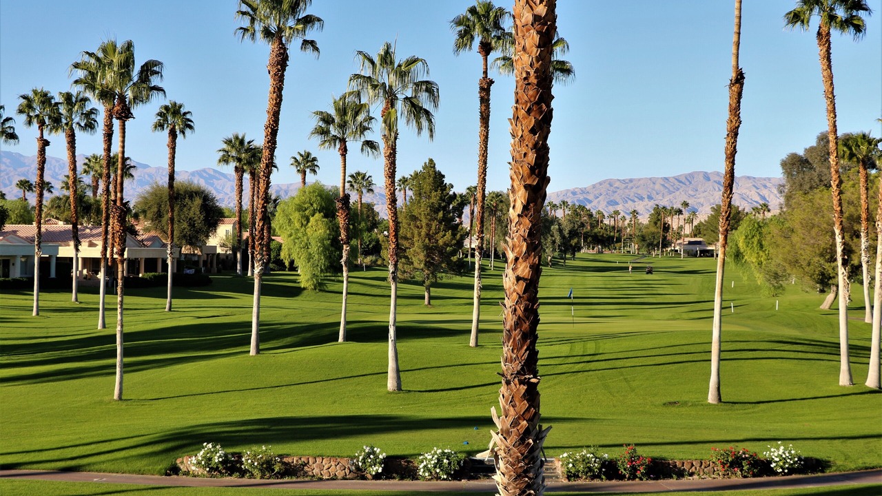 Photo of Others in Cathedral City