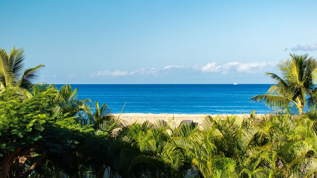 Photo of Outdoor in Wailea