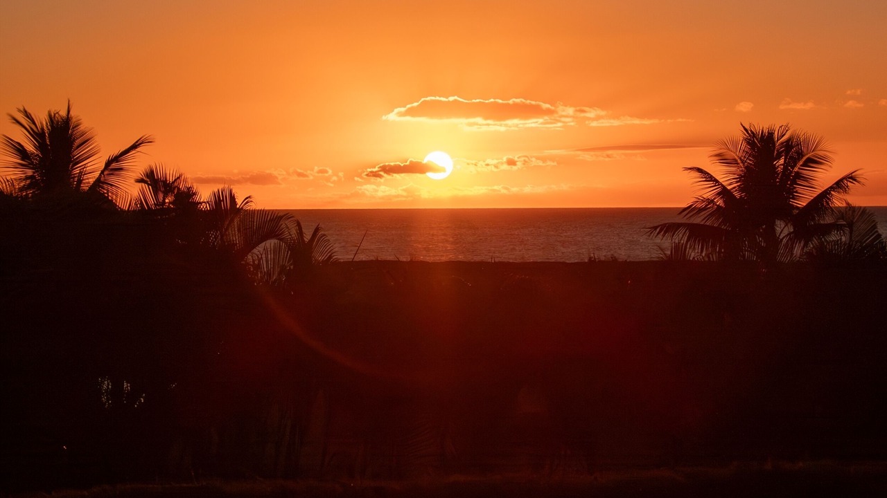 Photo of Others in Wailea