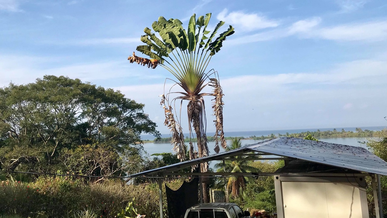 Photo of Outdoor in Ojochal