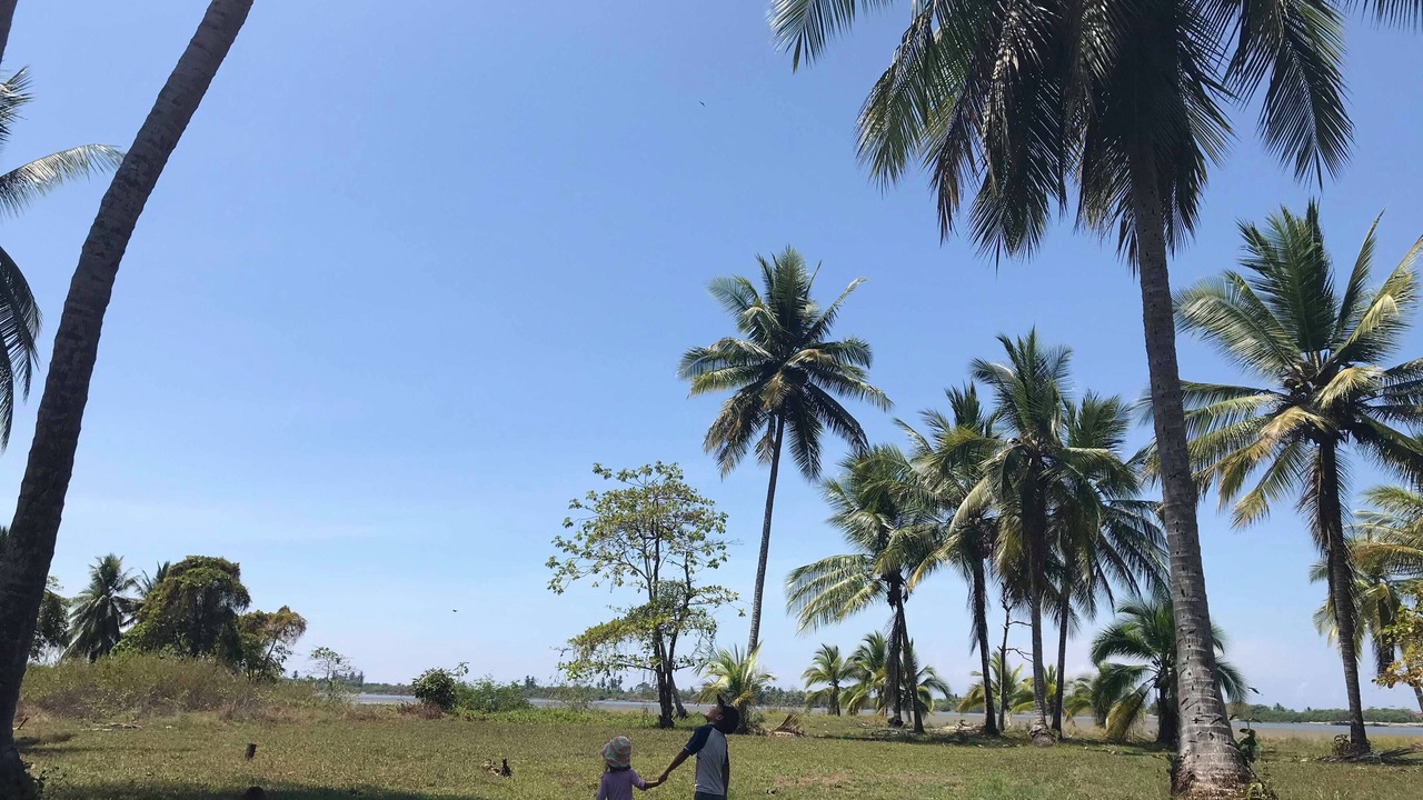 Photo of Outdoor in Ojochal