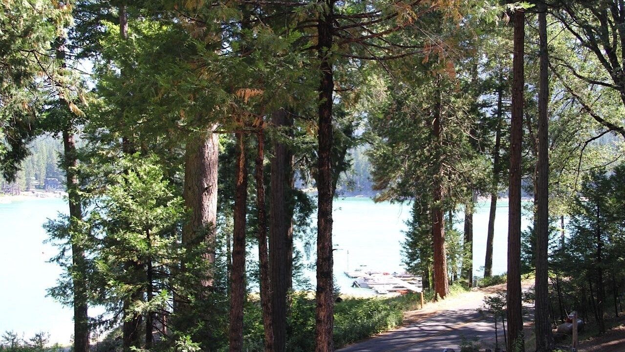 Photo of Others in Wishon