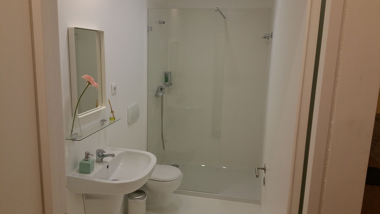 Photo of Bathroom in Viseu