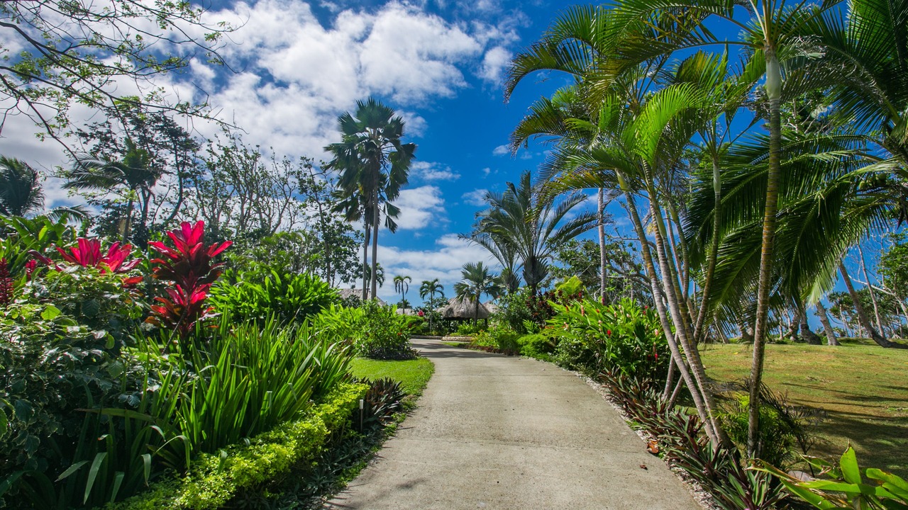 Photo of Outdoor in Savusavu