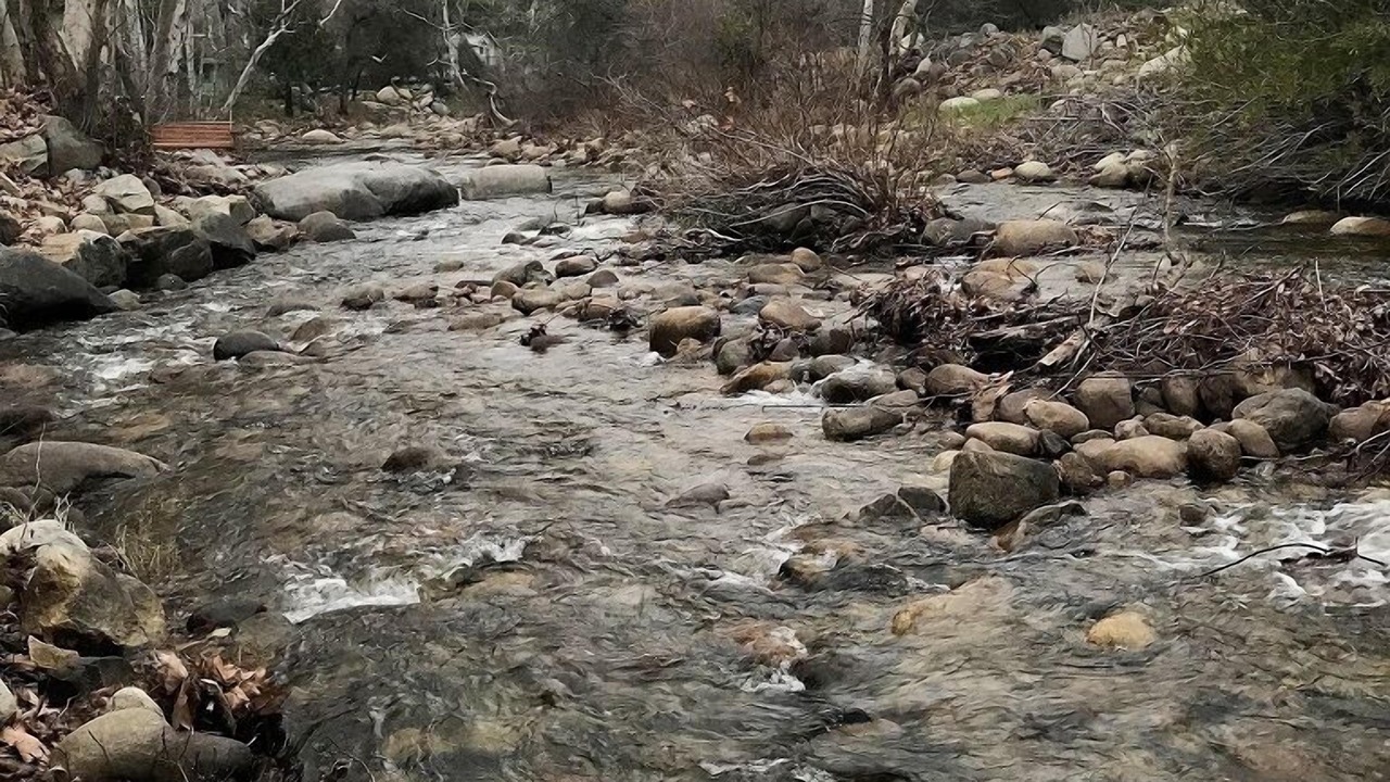 Photo of Others in Three Rivers