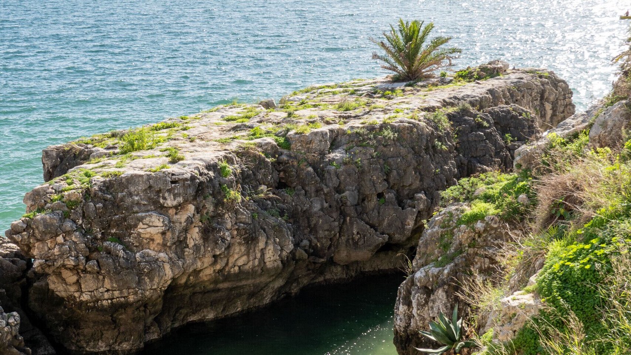 Photo of Others in Cascais