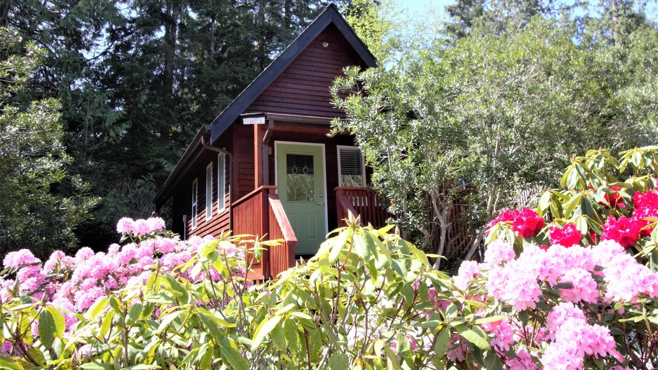 Photo of Outdoor in Ucluelet