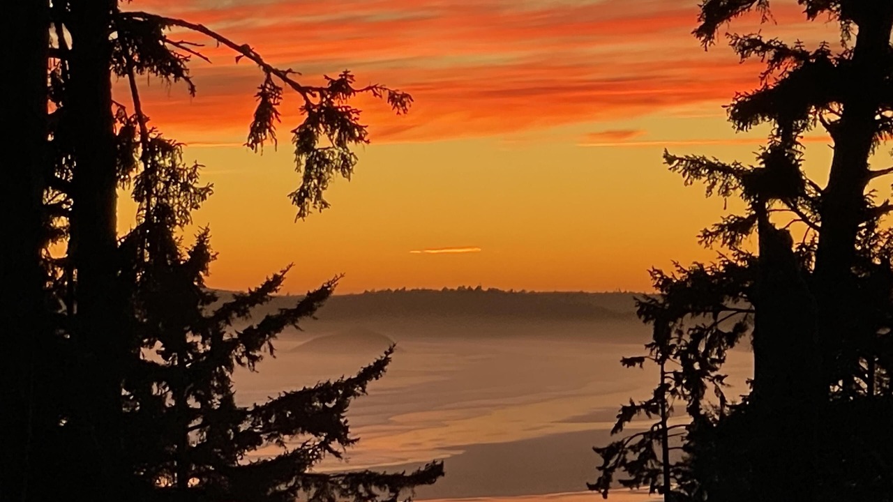 Photo of Others in Ucluelet