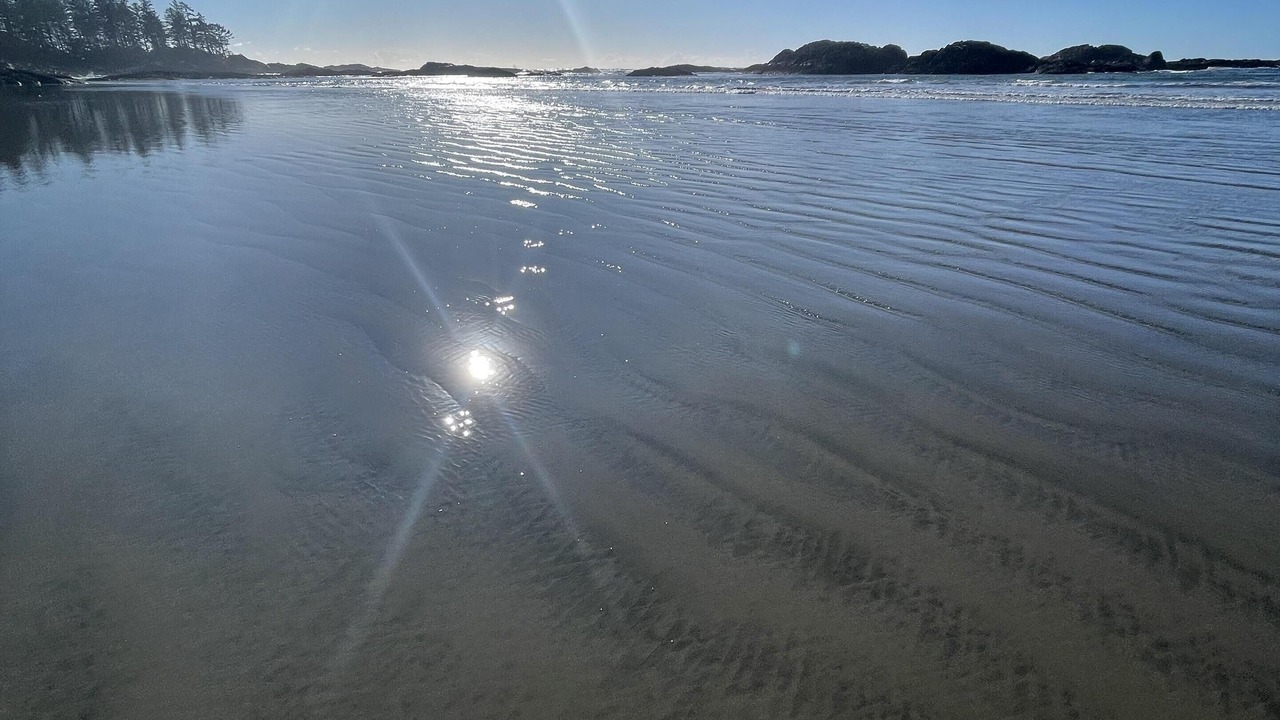 Photo of Others in Ucluelet