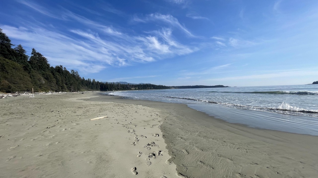 Photo of Others in Ucluelet