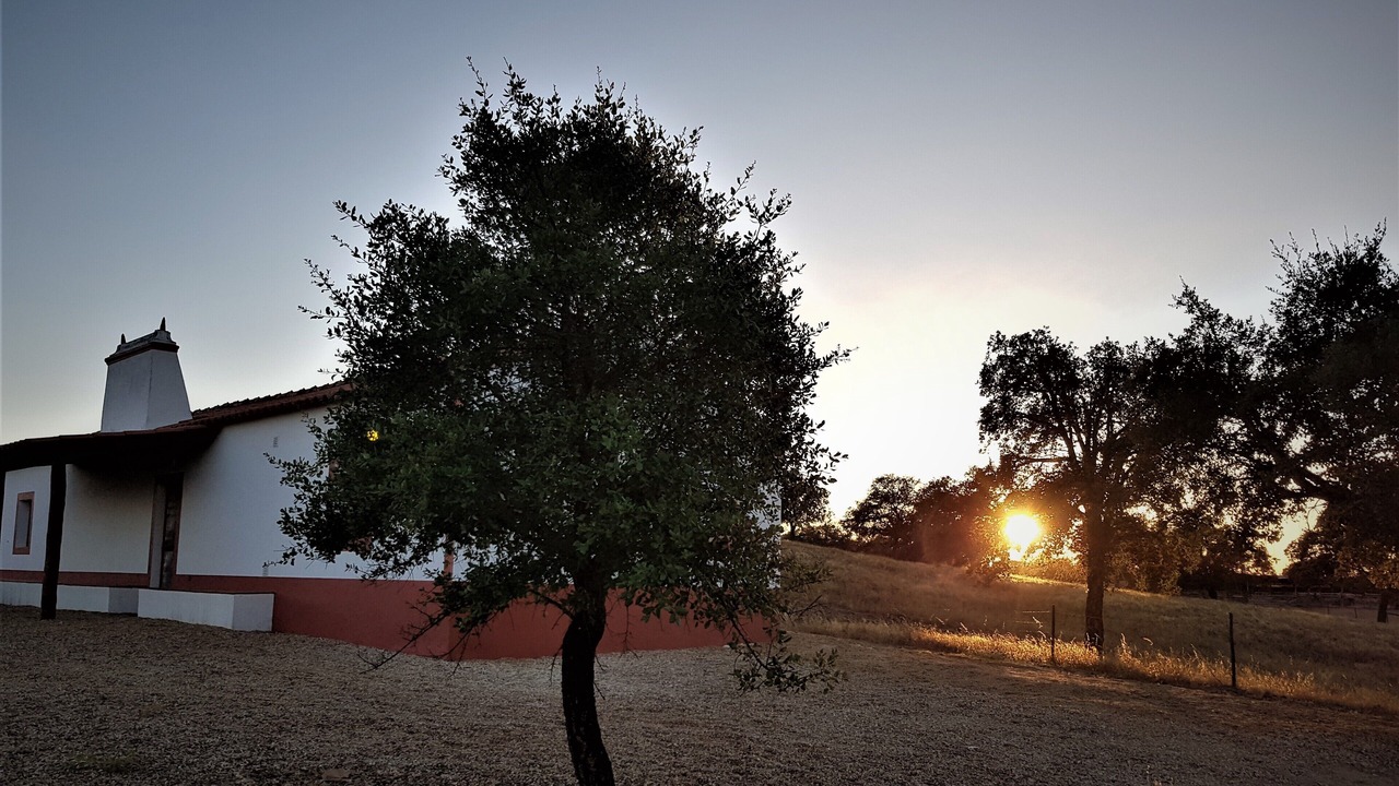 Photo of Outdoor in Grandola