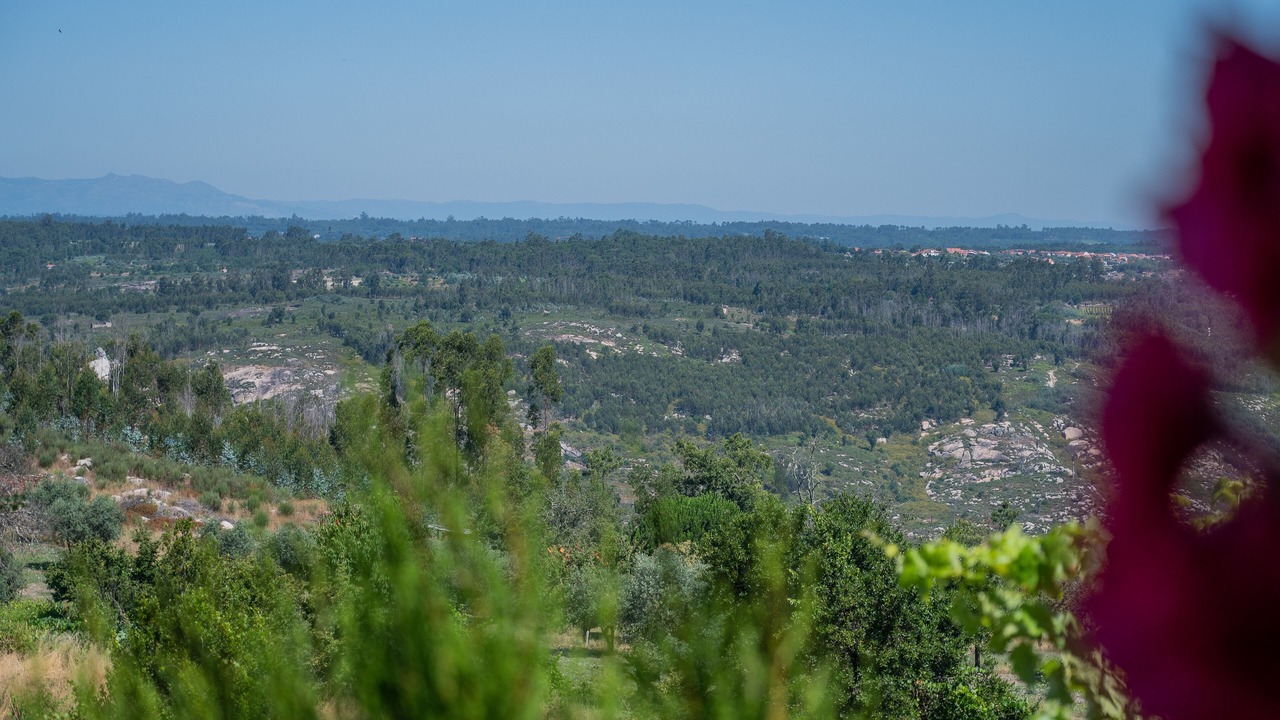 Photo of Others in Ervedal da Beira