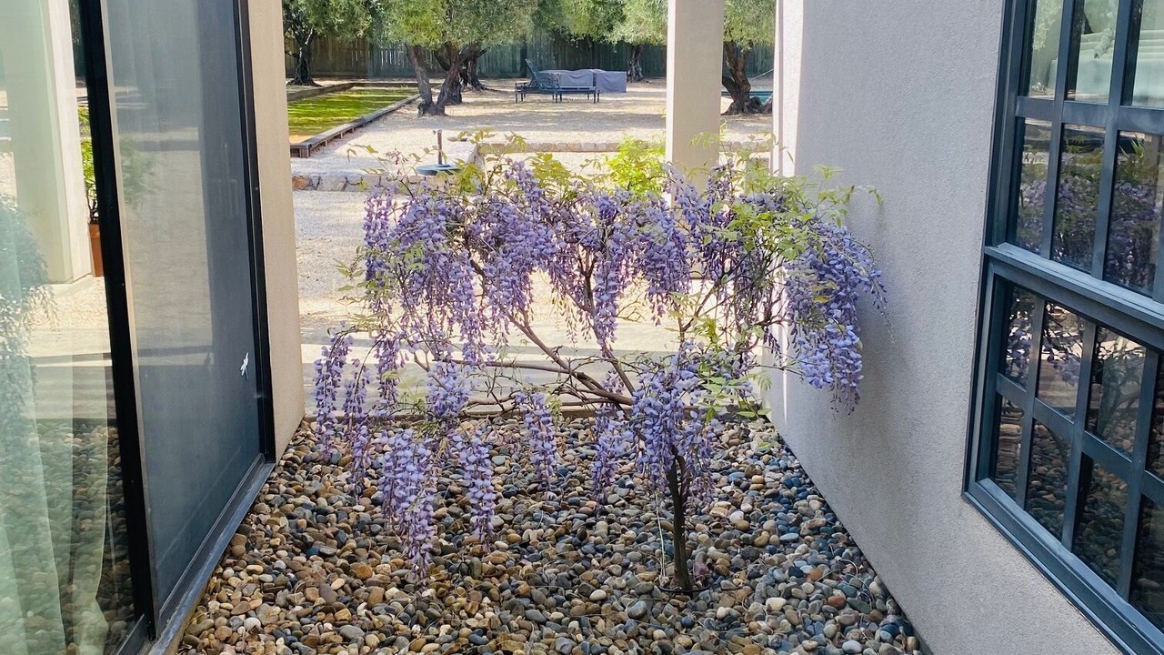 Photo of Outdoor in St. Helena