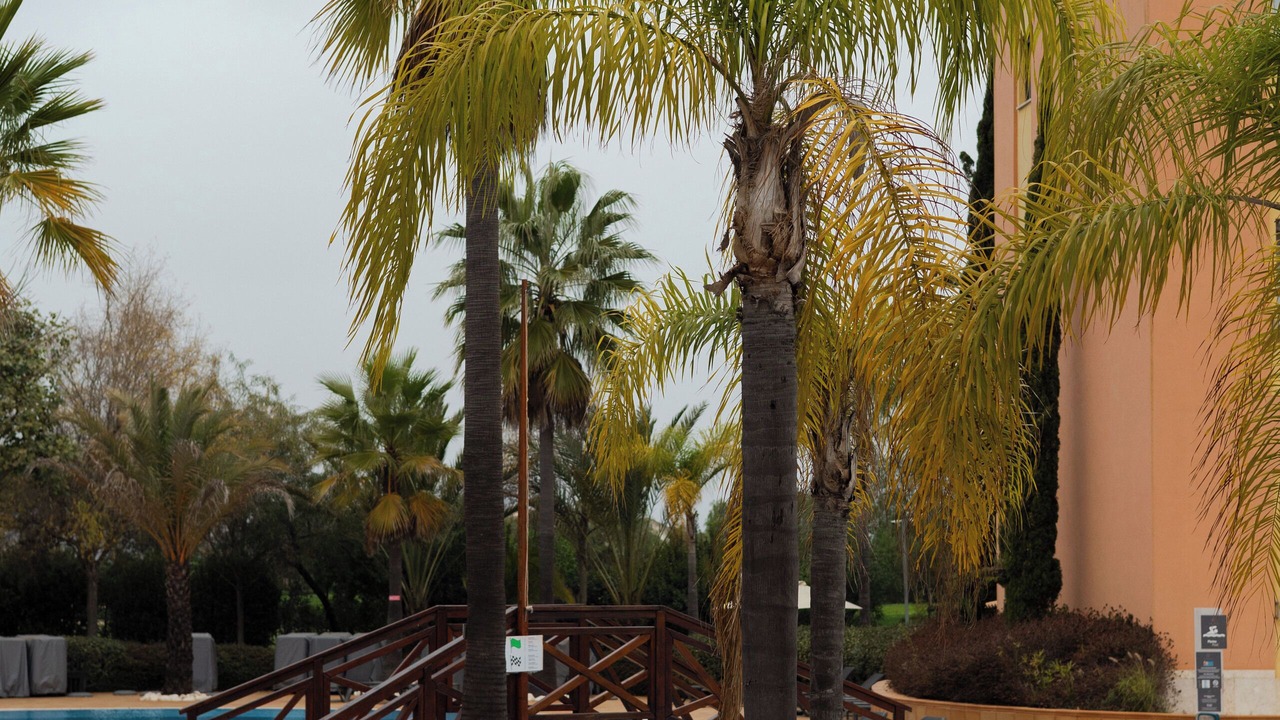 Photo of Outdoor in Vilamoura