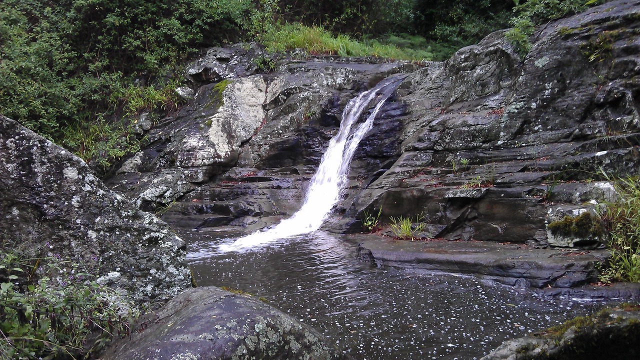 Photo of Outdoor in Witta