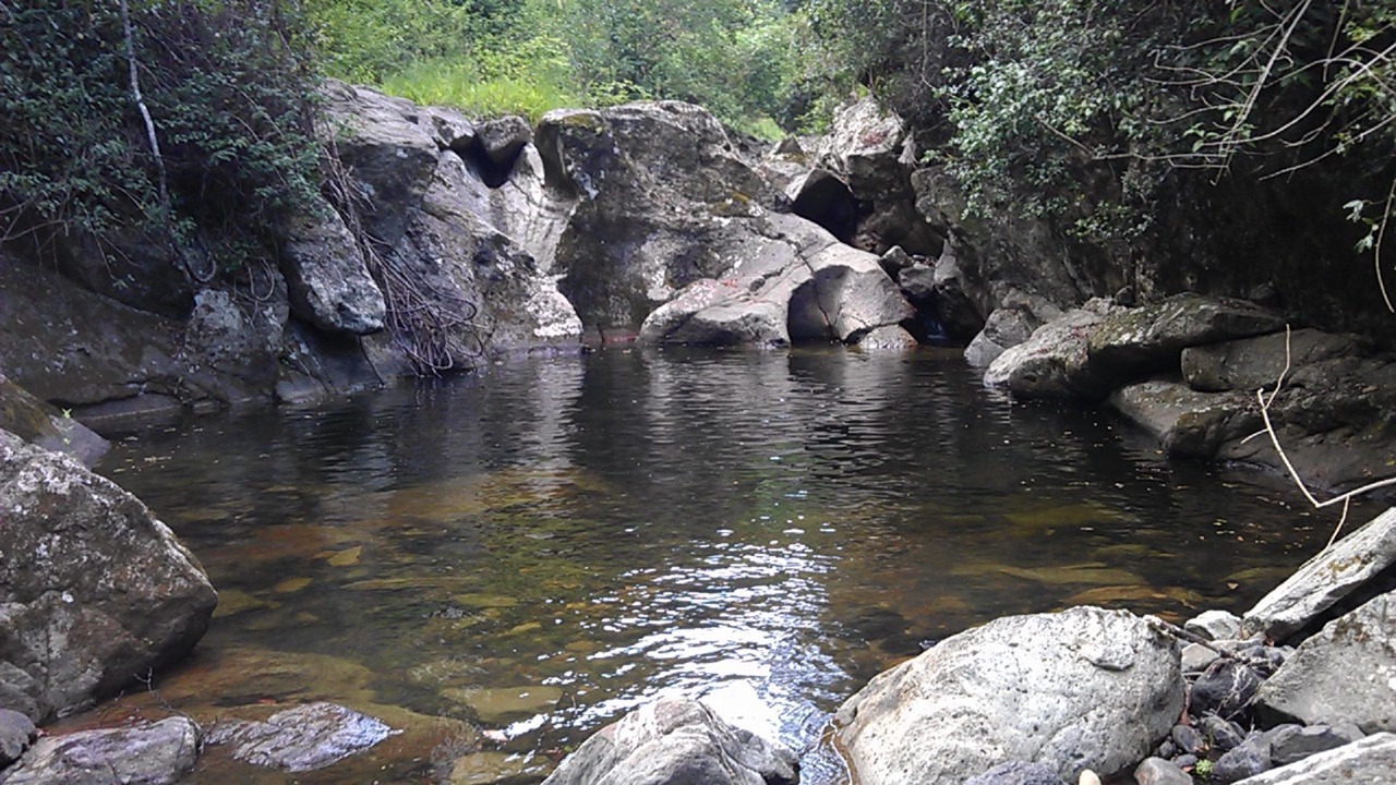 Photo of Outdoor in Witta