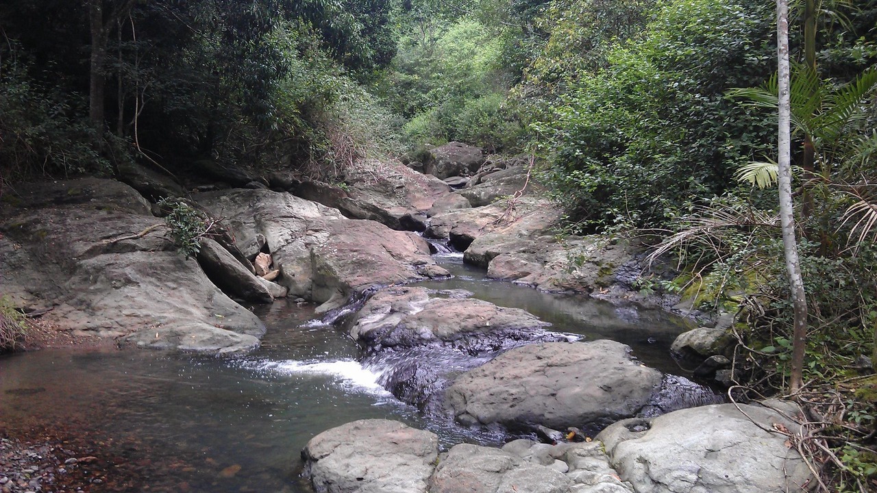 Photo of Outdoor in Witta