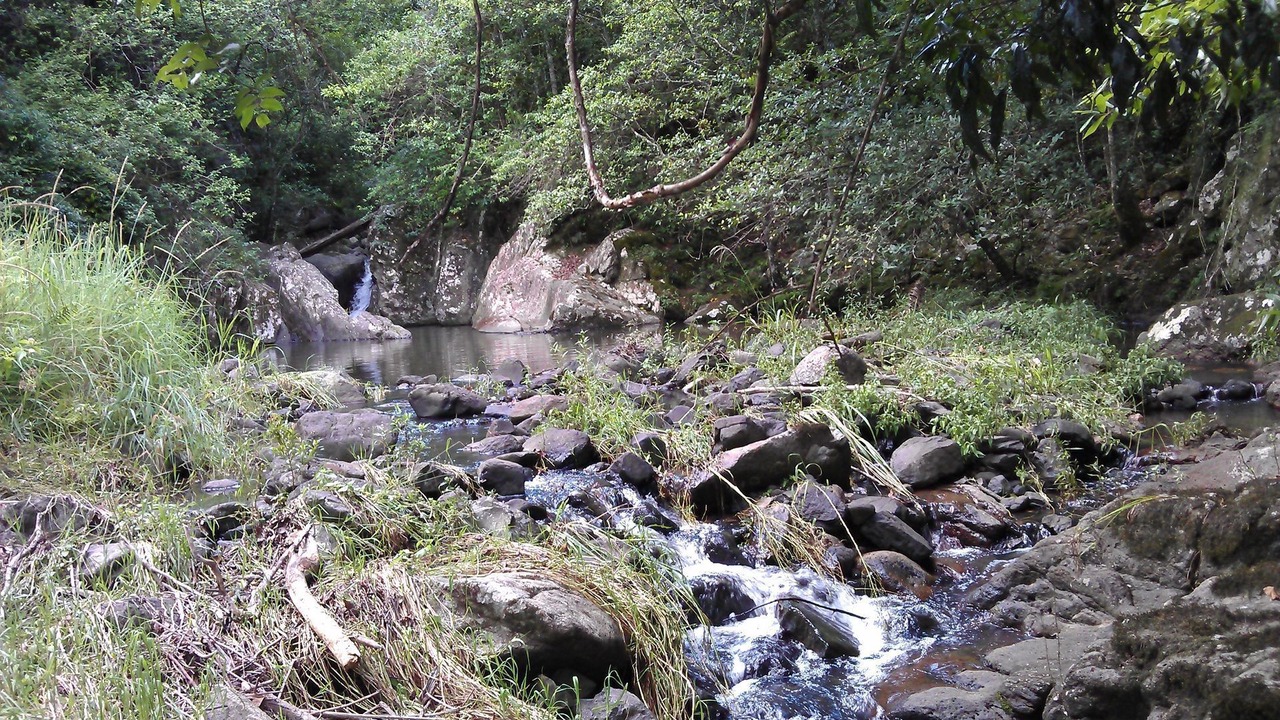 Photo of Outdoor in Witta