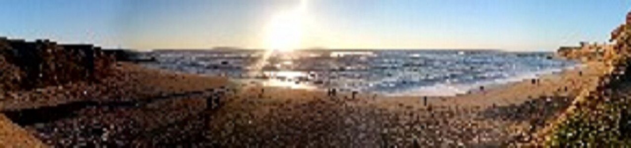 Photo of Others in Half Moon Bay