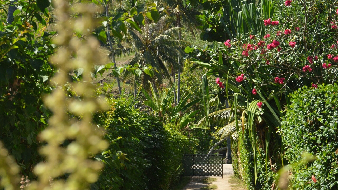 Photo of Outdoor in Pihaena