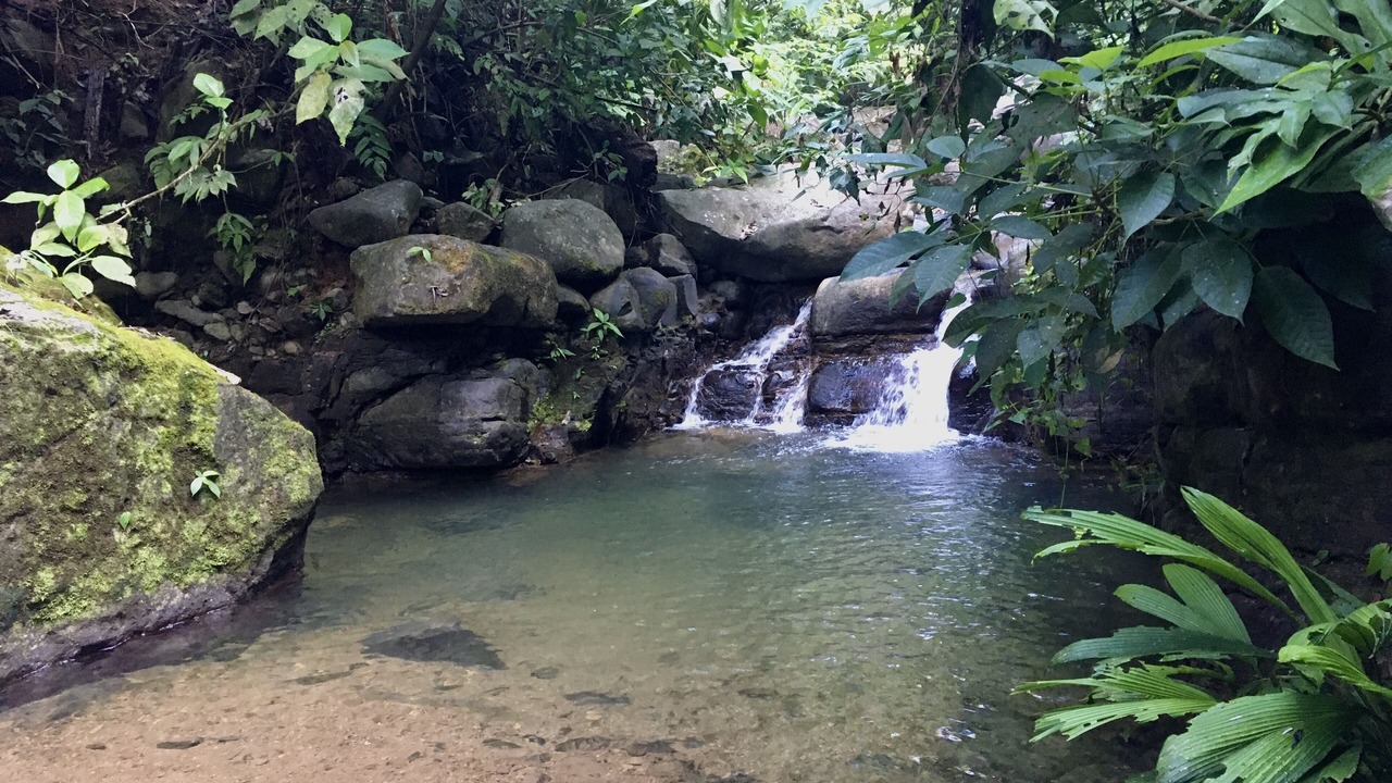 Photo of Outdoor in Ballena
