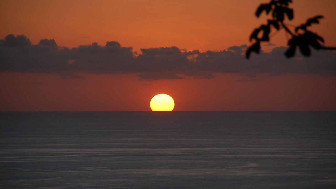 Photo of Others in Ballena