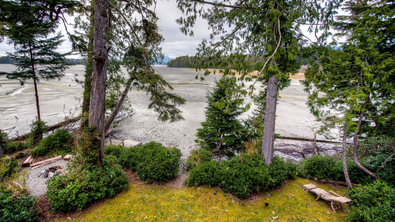 Photo of Others in Tofino