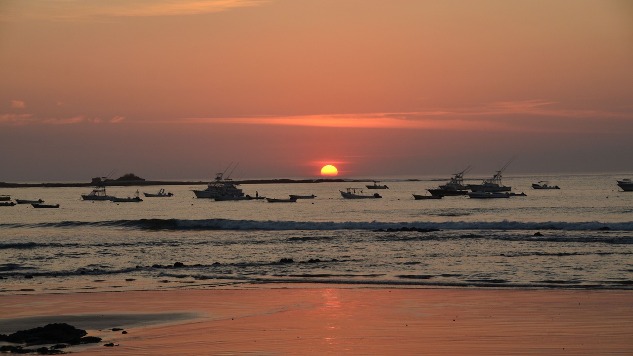 Photo of Others in Playa Langosta