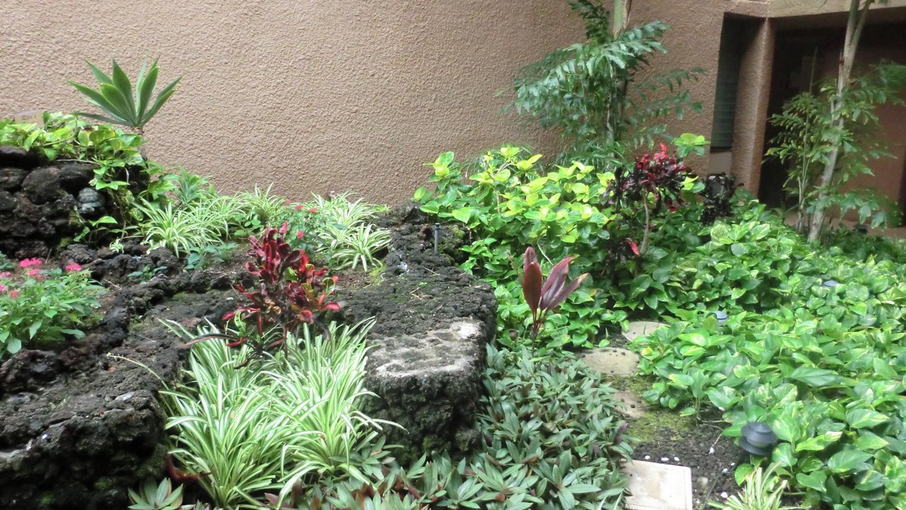 Photo of Others in Kihei