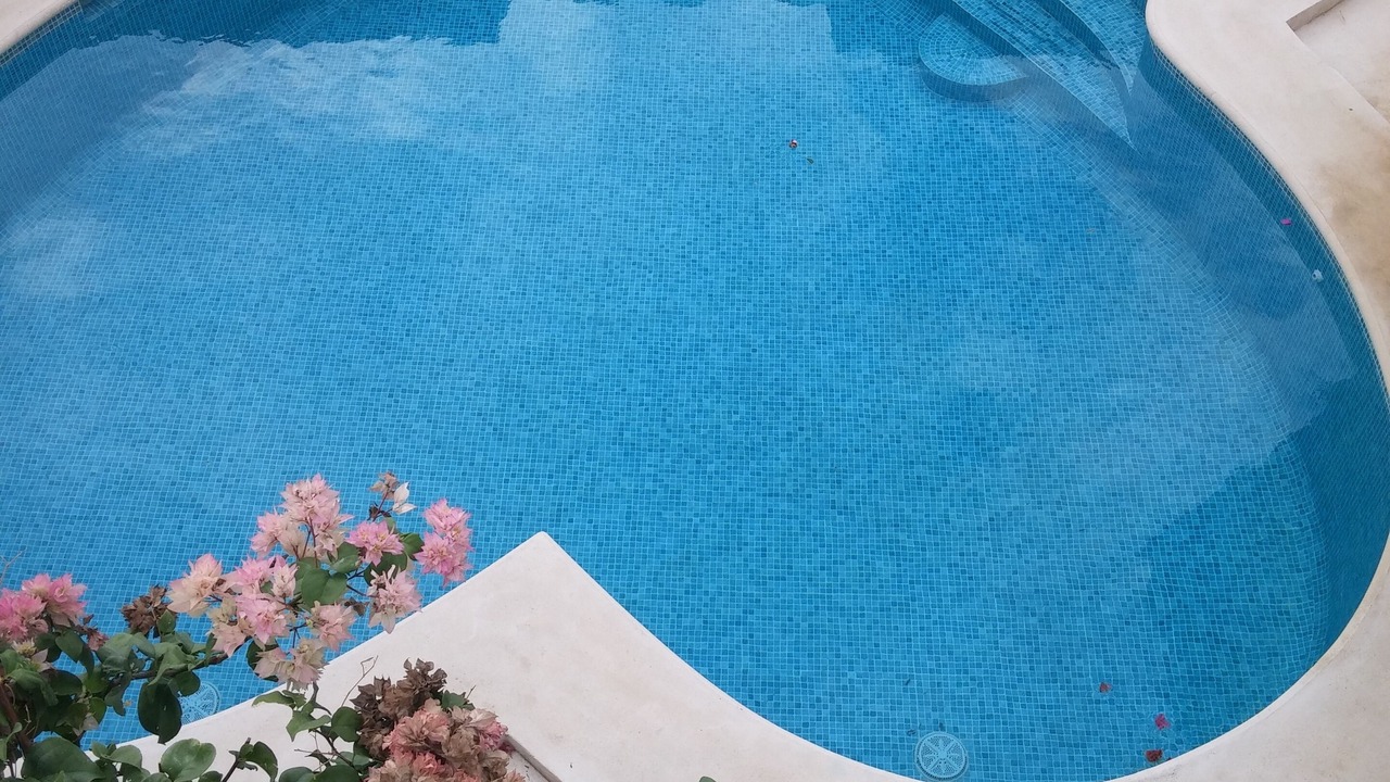 Photo of Outdoor in Coco