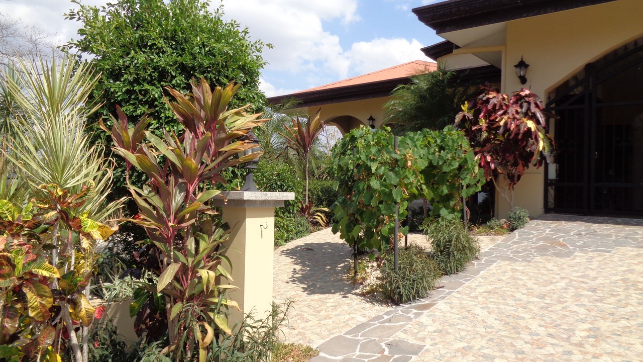 Photo of Outdoor in Coco