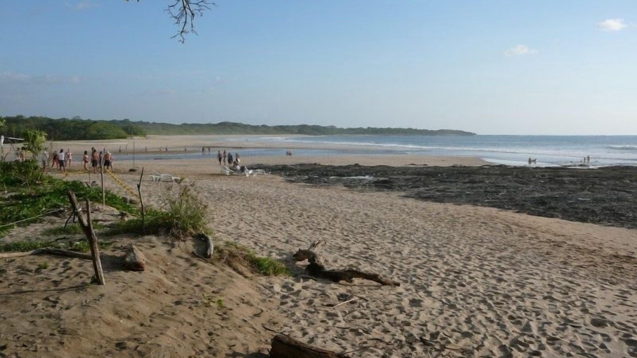 Photo of Others in Playa Langosta