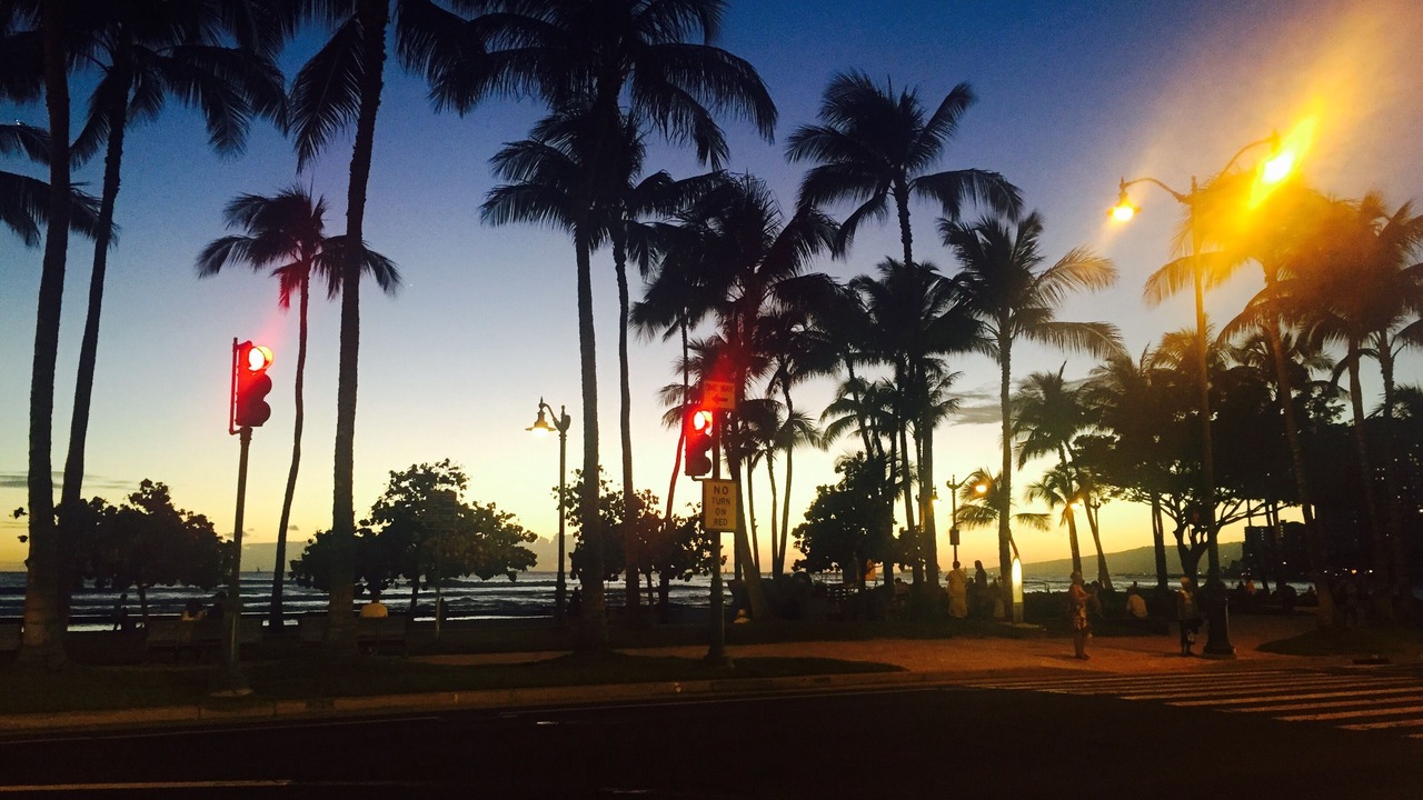 Photo of Others in Waikiki