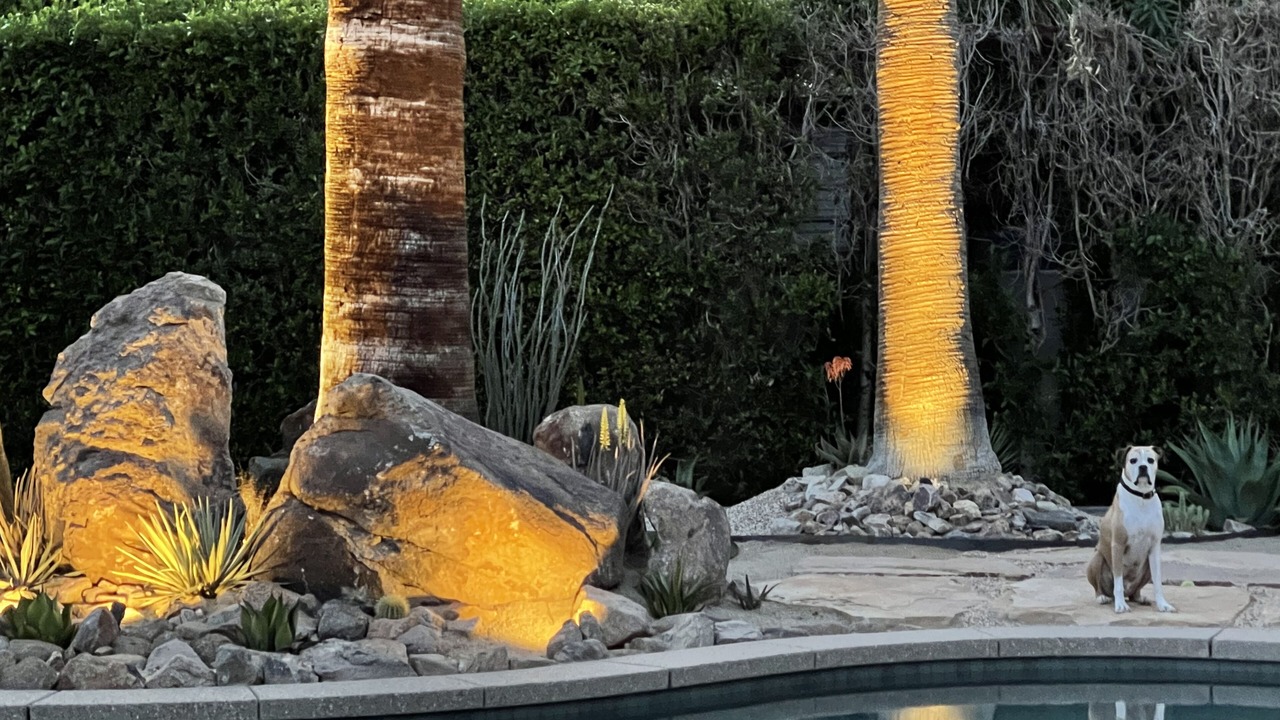 Photo of Outdoor in Tahquitz River Estates