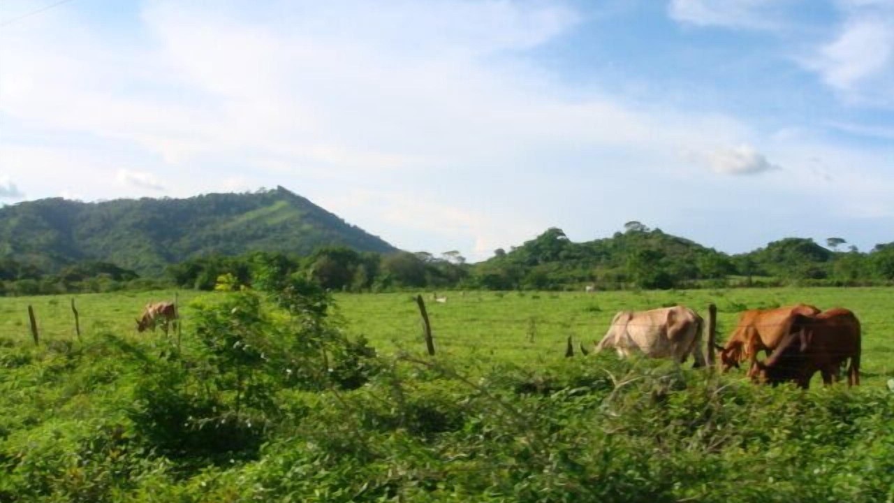 Photo of Others in Rancho Santana