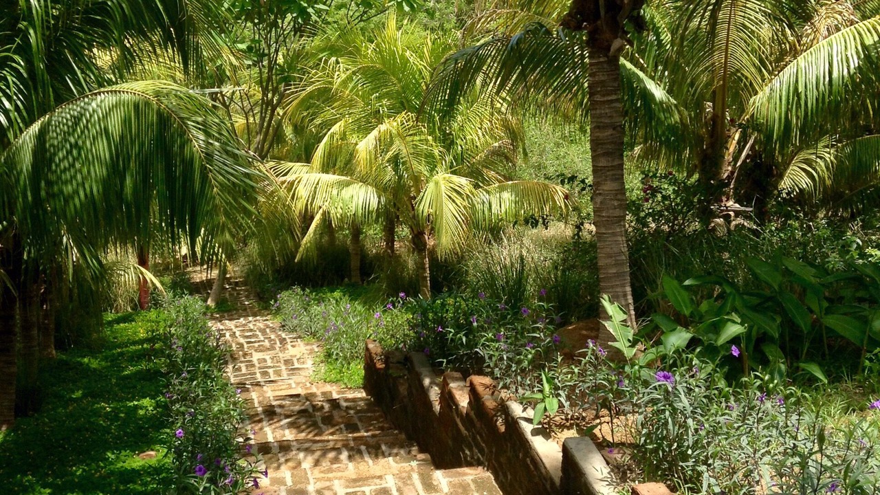 Photo of Outdoor in Rancho Santana