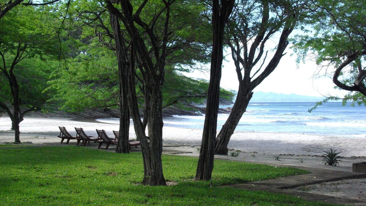 Photo of Others in Playa El Coco