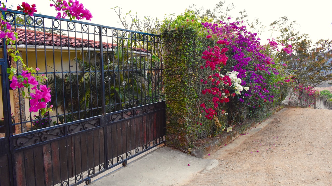 Photo of Outdoor in San Juan del Sur
