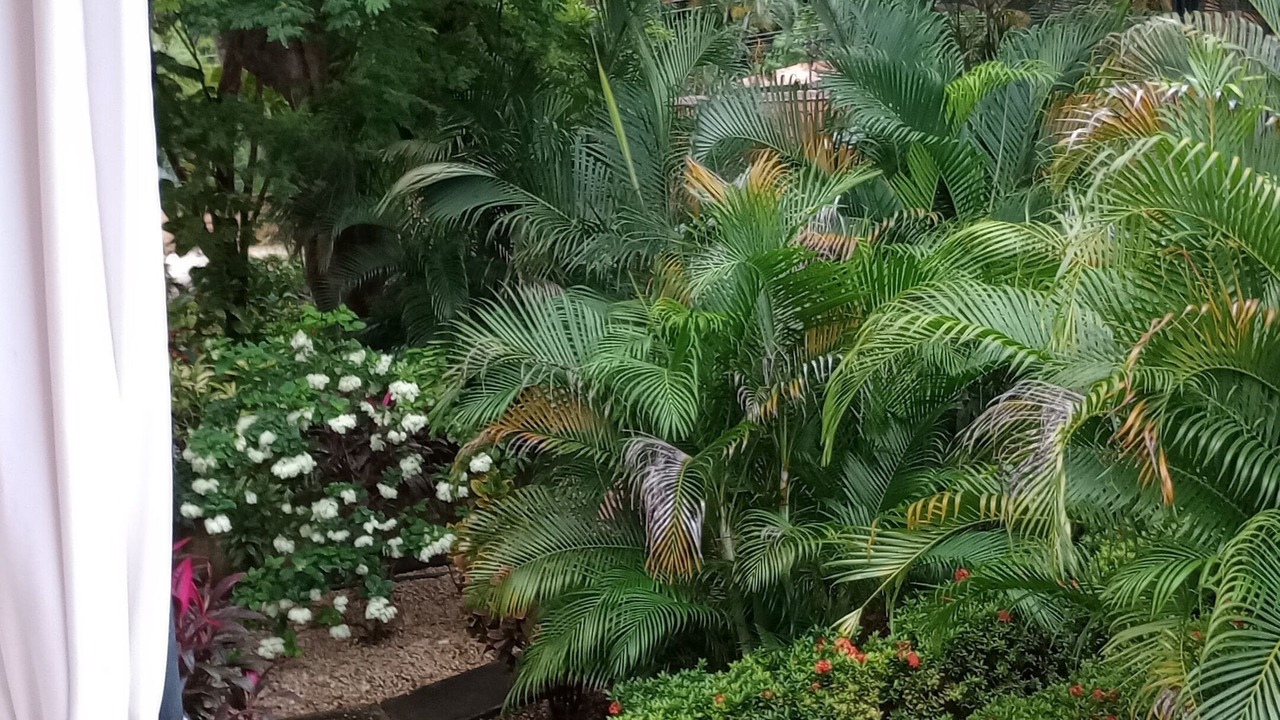 Photo of Outdoor in Coco