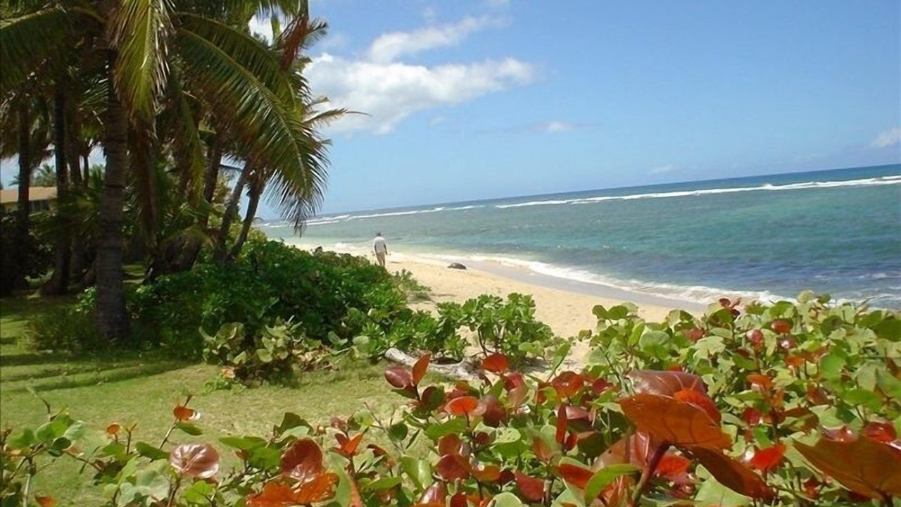 Photo of Others in Mokuleia