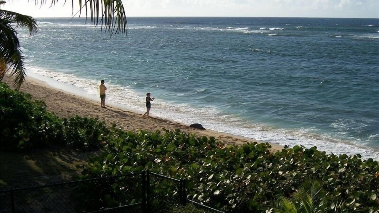 Photo of Others in Mokuleia